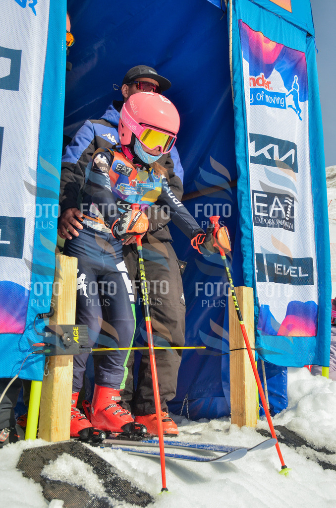 _ELE4894 | holidayphoto