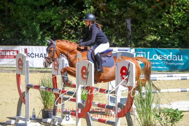 DKP43142 | Deine Turnierfotos vom Reitturnier online kaufen: Dressur, Springen & Siegerehrung. Professionelle Pferdefotografie aus dem Rheinland – als Download & Print.Alternative: Turnierfotograf für den Pferdesport: Finde deine Fotos von Dressur- und Springturnier
