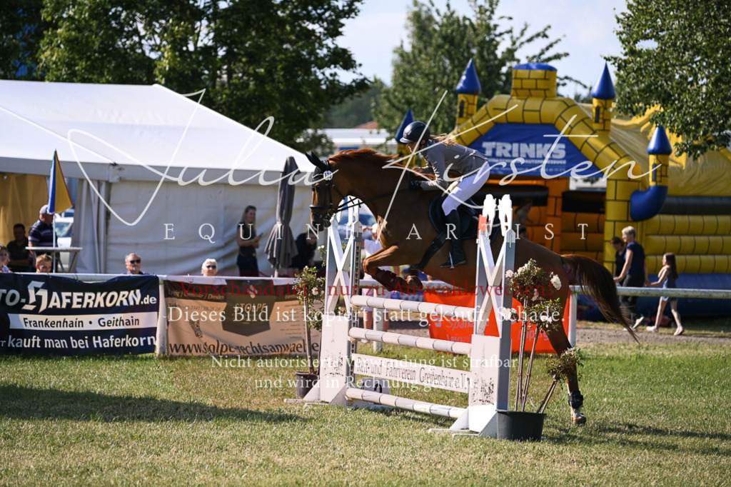 DSC_1289 | Pferde- und Turnierfotografie in Westsachsen. Pferdeportraits, Auftragszeichnungen und intuitive Kunst.
