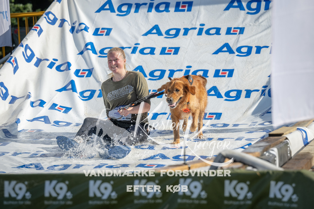 0950_ZZ97176 | kk-dogfotos