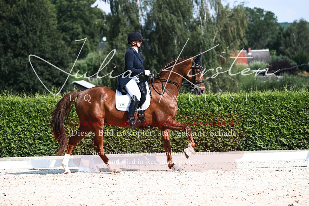 DSC_3431 | Pferde- und Turnierfotografie in Westsachsen. Pferdeportraits, Auftragszeichnungen und intuitive Kunst.