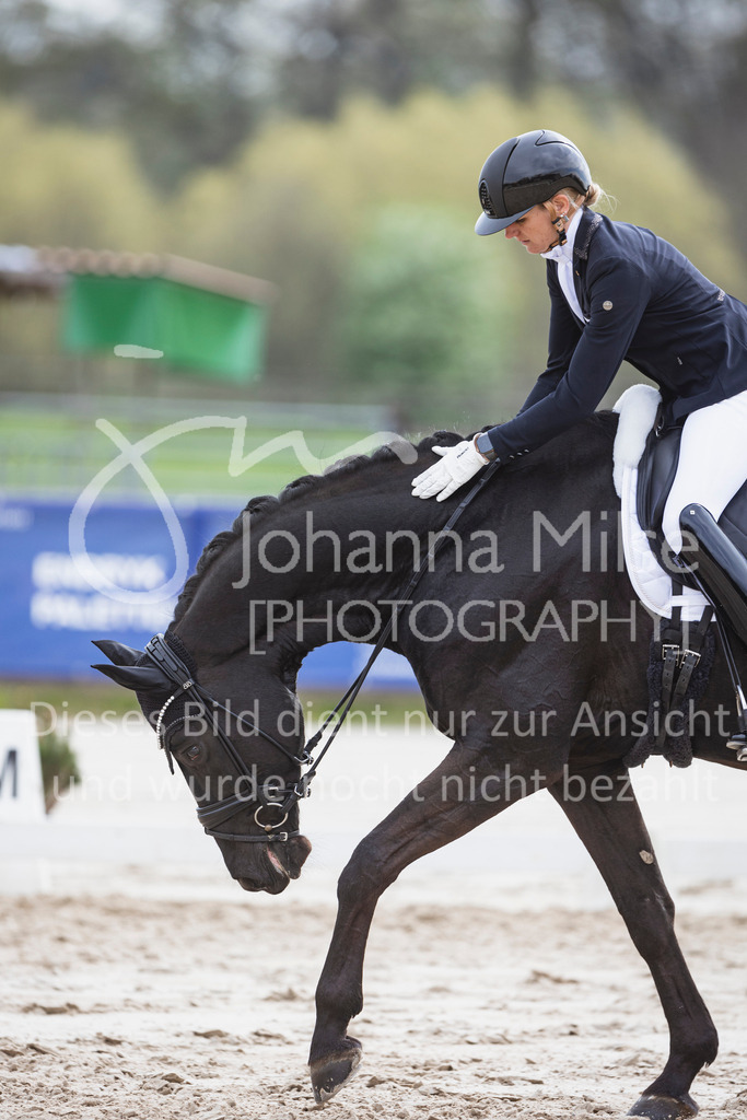 250416_Dressurpferde-L-206 | Deine schönsten Turniermomente als professionelle Fotos! Entdecke hochwertige Pferdesport-Fotografie im Online-Shop. Jetzt Fotos finden & bestellen!