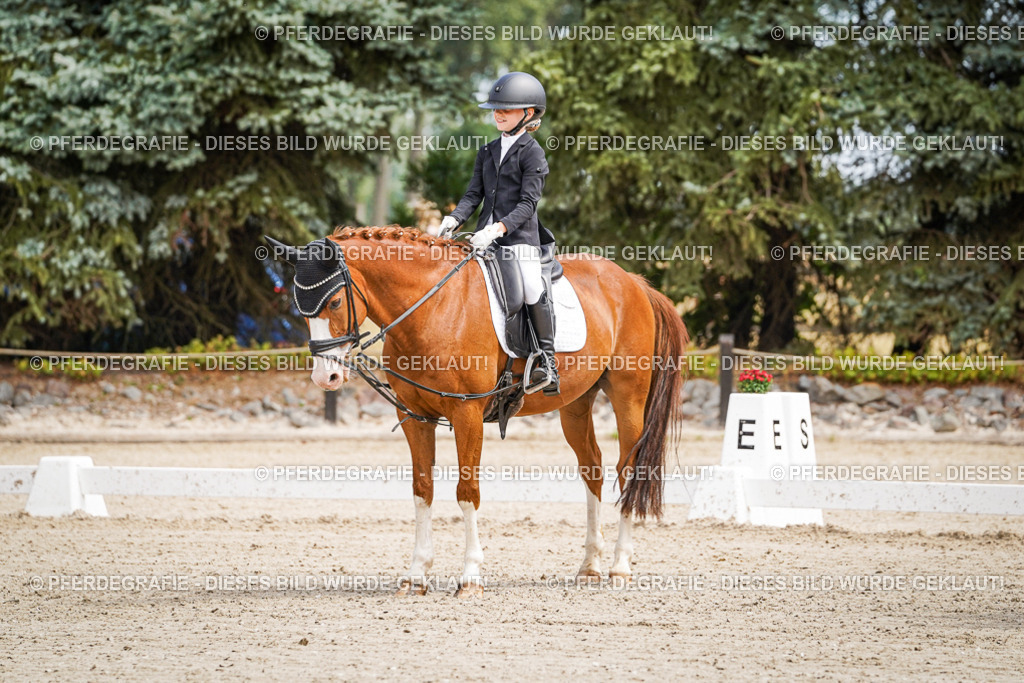 DSC02610 | Pferdegrafie