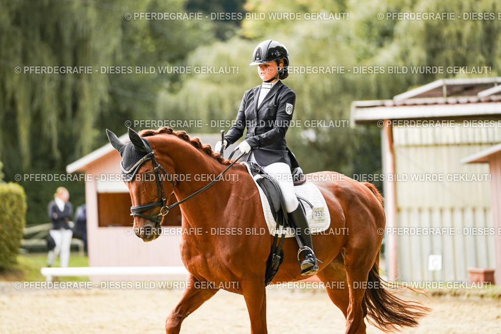 DSC01722 | Pferdegrafie