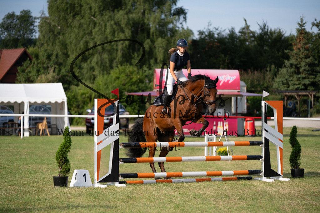 A7V01193 | Pferdefotograf