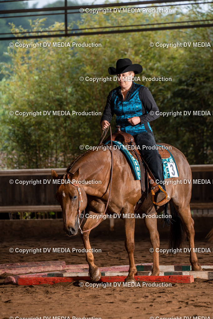 Erbach Tag 3-102 | dv-media-shop - Realisiert mit Pictrs.com