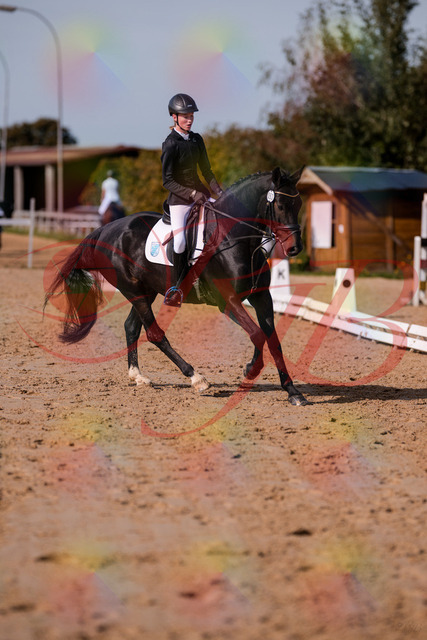 2026_10_03_Siefer-Hof_115801_Z81_99632105 | Professionelle Reitsport-, Turnier- und Eventfotografie von Robert Broda. Galerien mit ausgewählten und bearbeiteten Bildern direkt online ansehen und bestellen.
