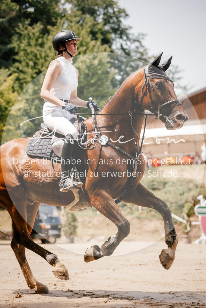3I6A7835 | Stimmungsvolle Portraits und Reitsportfotografie im Ruhrgebiet und im Münsterland.

Pferdefotografie, Hundefotografie, Tierfotografie, Reportagen, Portraits von Tier und Mensch, Turnierfotografie in Bochum, Recklinghausen, Marl, Haltern am See, Dülmen.. - Realisiert mit Pictrs.com