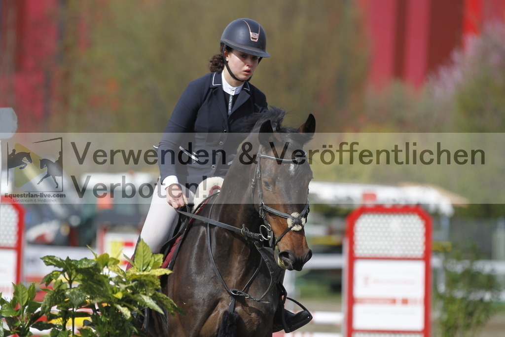 _MG_6823 | equestrian-live-com