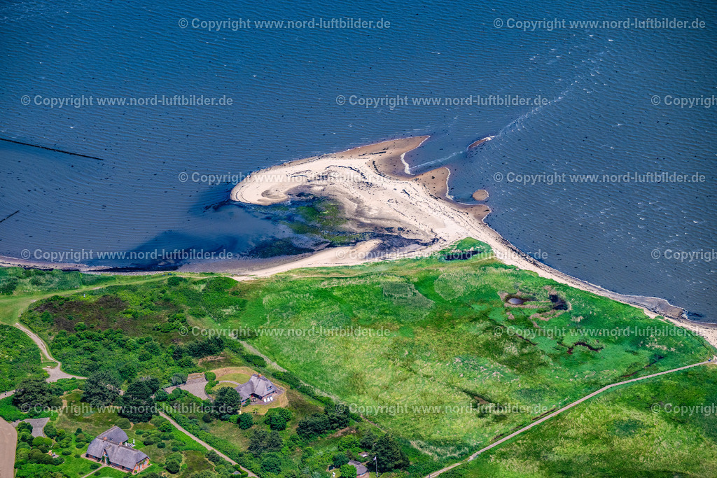 Sylt_Kampen_Wattseite_Schlauchalgenteppich_ELS_5314130625 | KAMPEN (SYLT) 13.06.2025 Wohngebiet einer Einfamilienhaus- Siedlung Hobookenweg in Kampen (Sylt) auf der Insel Sylt im Bundesland Schleswig-Holstein, Deutschland. // Single-family residential area of settlement Hobookenweg in Kampen (Sylt) at the island Sylt in the state Schleswig-Holstein, Germany. Foto: Martin Elsen