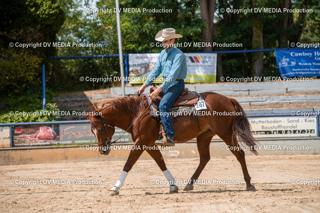 ZS3_9624 | dv-media-shop - Realisiert mit Pictrs.com