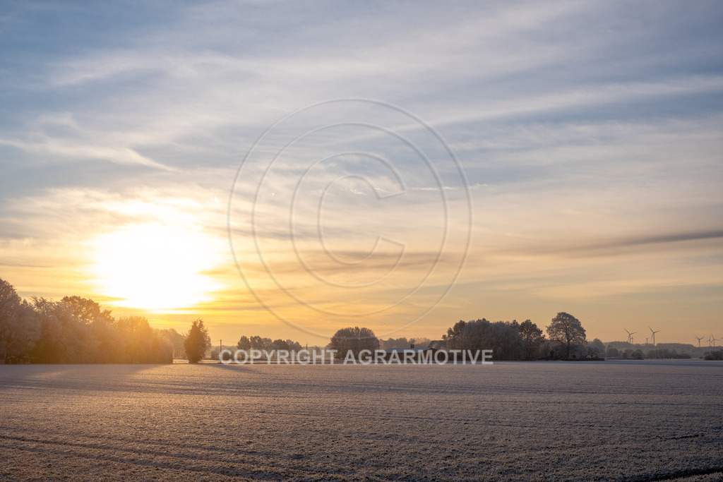 20221218-_DSF2472 | Schneebedeckte Landschaft bei eisiger Kälte - Realisiert mit Pictrs.com