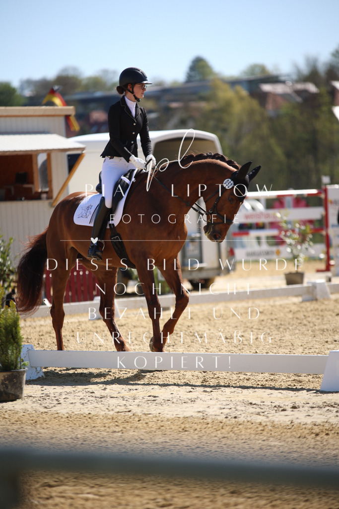 IMGT0759 | pl-fotografie