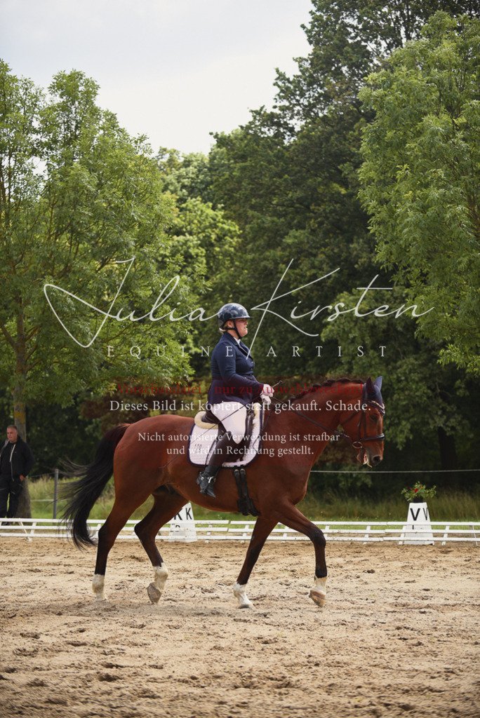 DSC_0810 | Pferde- und Turnierfotografie in Westsachsen. Pferdeportraits, Auftragszeichnungen und intuitive Kunst.