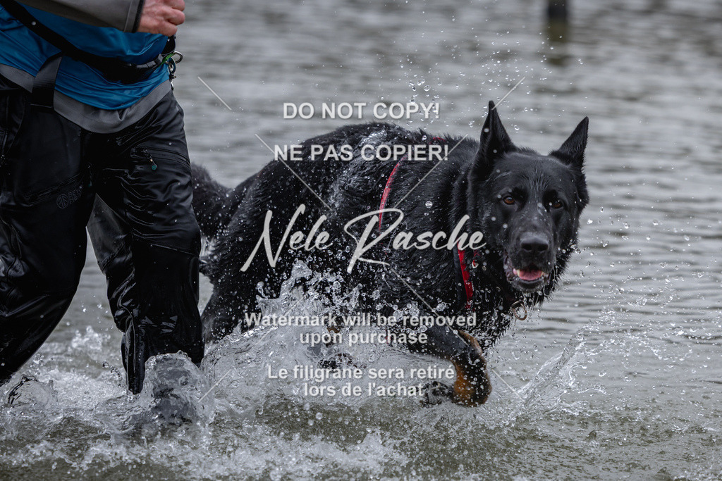 nelerasche_Hulsbeek_Sa1600-1700_358 | nelerasche