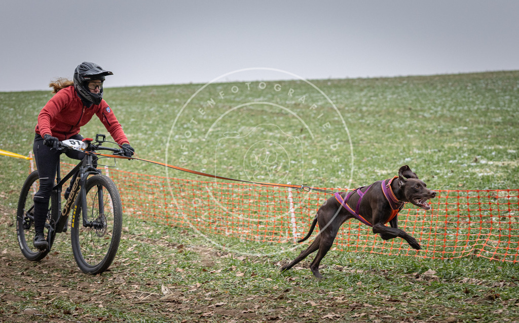 Pfotenfotografie_DV3A1102 | Hundefotografie, Tierfotograf, Pfotenfotografie, Fotoshooting Hund, Hunde Portrait, Hundesport, Hundeportraits, Heideshooting, Hunde, Sportfotograf, Hundefotograf, Turnierhundsport, THS,  - Realisiert mit Pictrs.com
