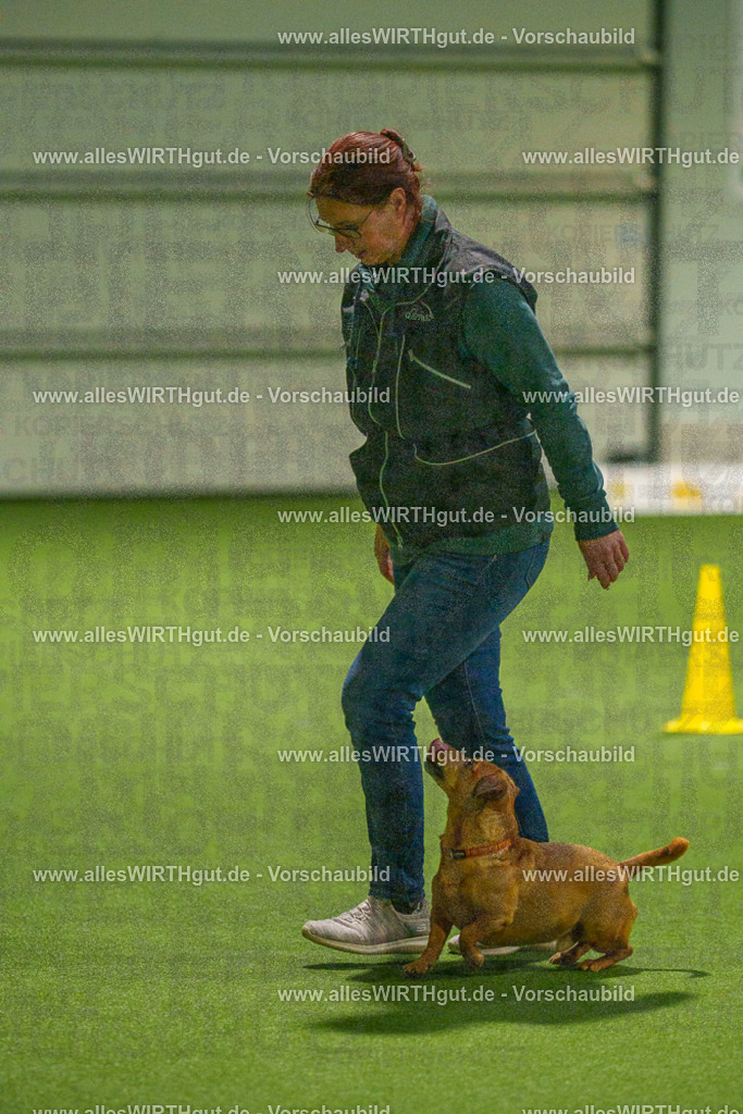 7R508671 | Professionelle Tierfotografie in Mönchengladbach von Daniel Wirth (allesWIRTHgut). Liebevolle & natürliche Bilder von Hunden & Katzen für unvergessliche Erinnerungen.