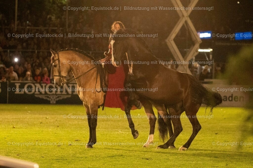 20230526_Pferdenacht_1441 | equistock