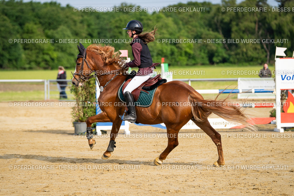 DSC02791 | Pferdegrafie