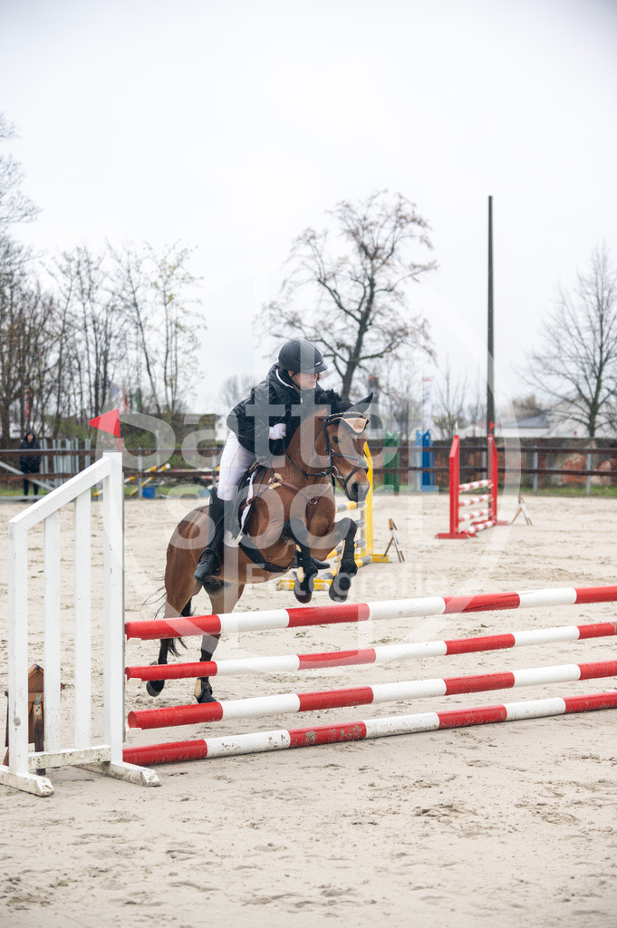 DSC_8353 | sattelsport - Realisiert mit Pictrs.com