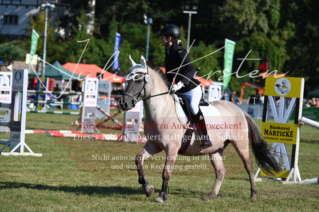 DSC_5245 | Pferde- und Turnierfotografie in Westsachsen. Pferdeportraits, Auftragszeichnungen und intuitive Kunst.