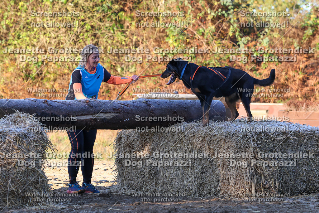 Dog Paparazzi - Strongdog 10-25-615 | Dog Paparazzi Jeanette Grottendiek Fotografie & Videografie - Realisiert mit Pictrs.com