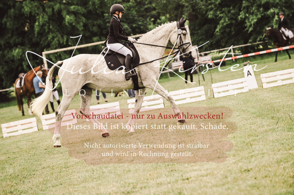 DSC_4968 | Pferde- und Turnierfotografie in Westsachsen. Pferdeportraits, Auftragszeichnungen und intuitive Kunst.