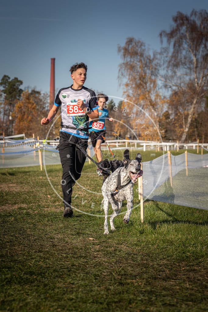 CaniXpix_0L8A8198 | Hundefotografie, Tierfotograf, Pfotenfotografie, Fotoshooting Hund, Hunde Portrait, Hundesport, Hundeportraits, Heideshooting, Hunde, Sportfotograf, Hundefotograf, Turnierhundsport, THS,  - Realisiert mit Pictrs.com