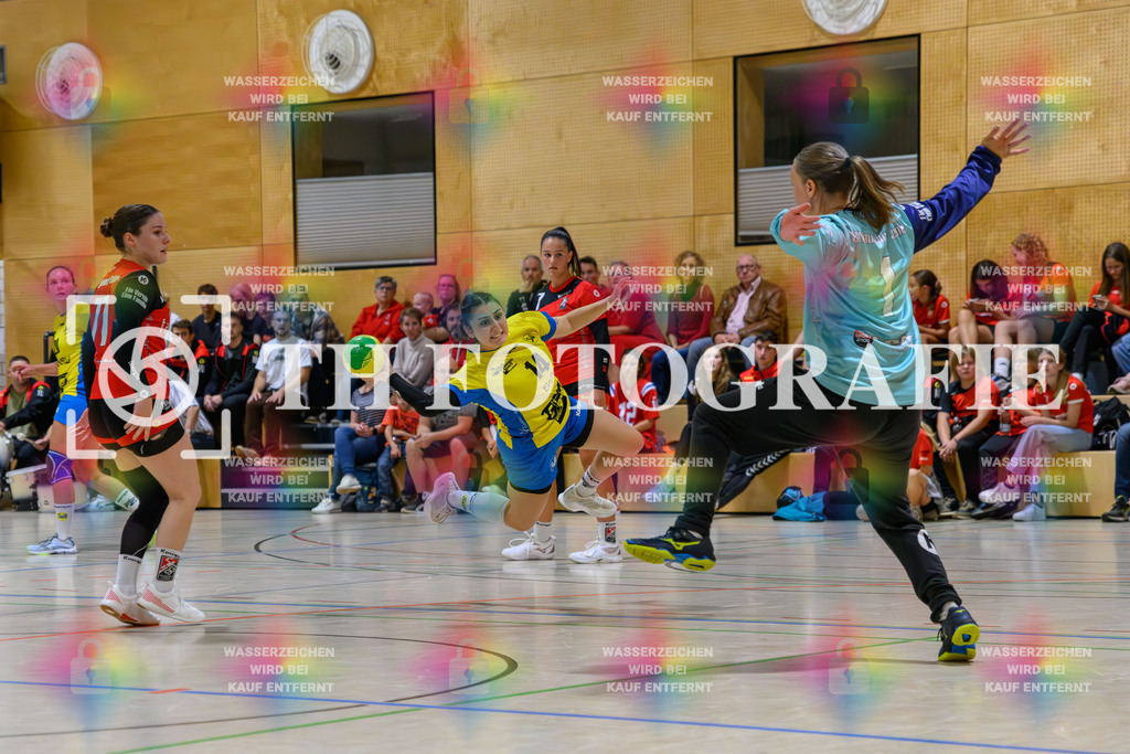 GER, SG Maulburg/Steinen - SV Allensbach 2, Handball, Suedbadenliga, 2. Spieltag, Saison 2023/2024, 14.10.2023 | Kira Heinstadt (SV Allensbach 2, #14) beim Wurf vor Antje Matschenz (SG Maulburg-Steinen, #01)

GER, SG Maulburg/Steinen - SV Allensbach 2, Handball, Suedbadenliga, 2. Spieltag, Saison 2023/2024, 14.10.2023

Foto: TH Fotografie/Thomas Hess