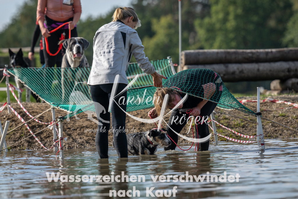 1248_ZZ93754 | kk-dogfotos