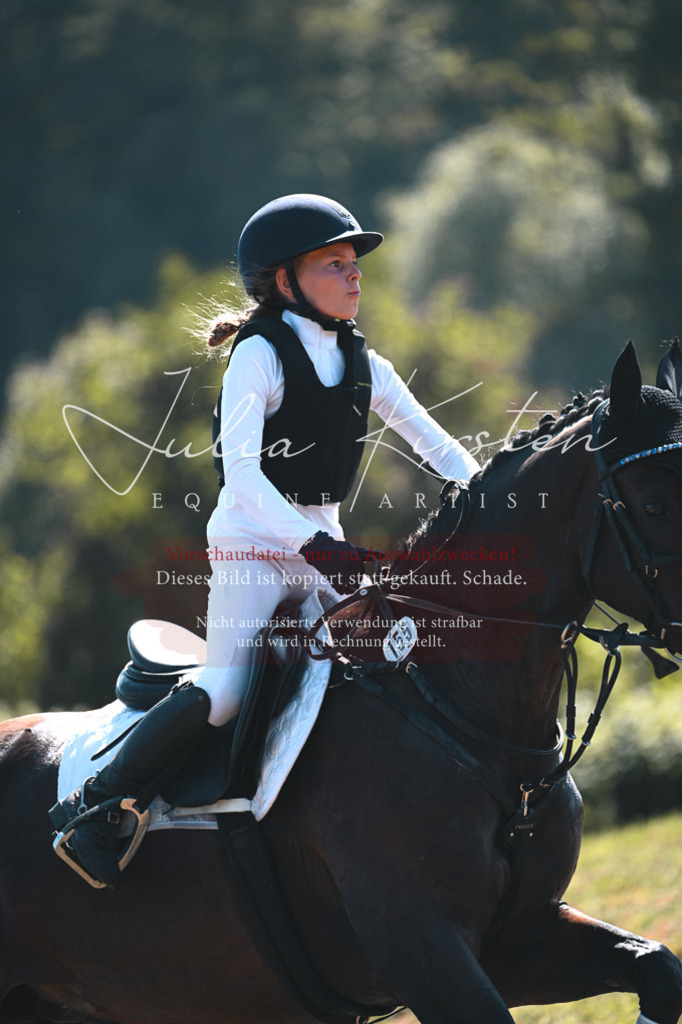 DSC_8021 | Pferde- und Turnierfotografie in Westsachsen. Pferdeportraits, Auftragszeichnungen und intuitive Kunst.