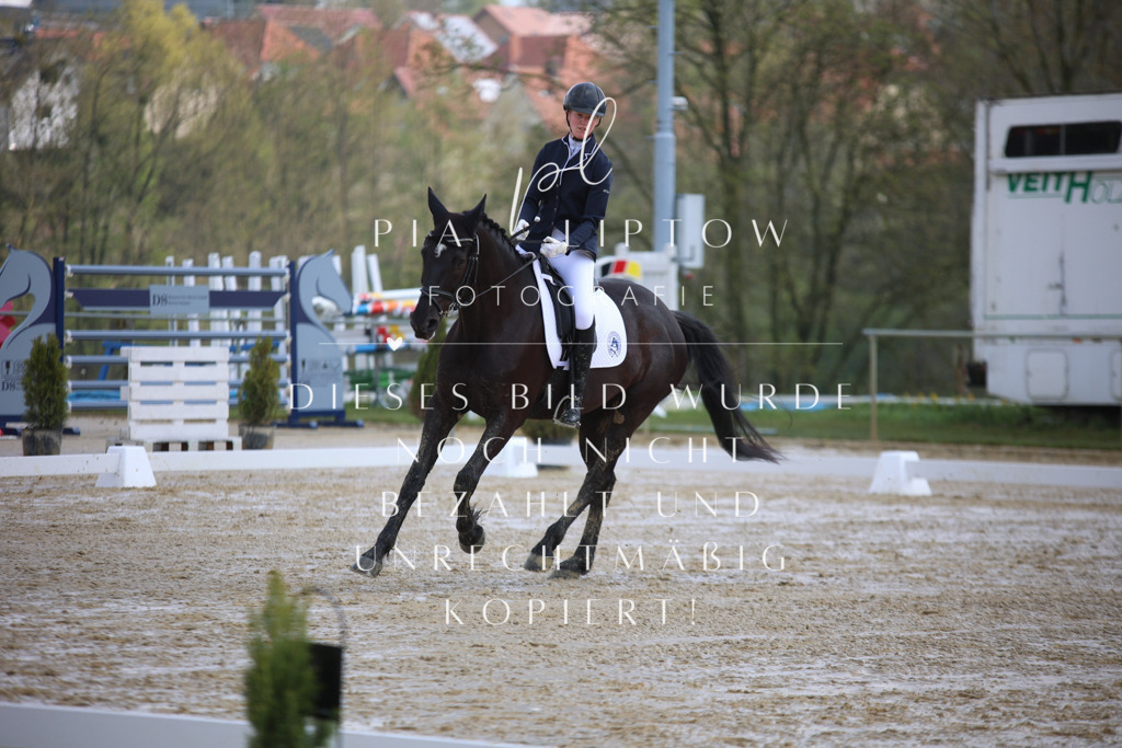 IMGT2323 | pl-fotografie