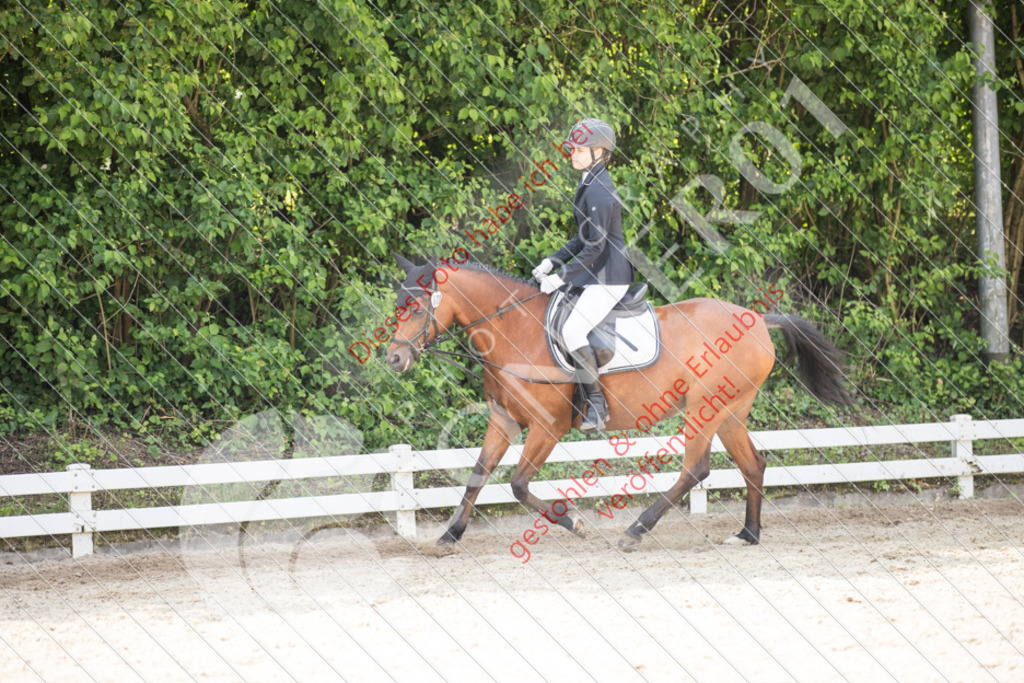 IMG_3549 | Sport-, Event- und Tierfotos in Profiqualität. Einfach auswählen, bestellen und herunterladen. Dein Moment – perfekt festgehalten.