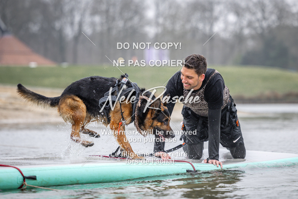nelerasche_Hulsbeek_Sa1030-1100_520 | nelerasche
