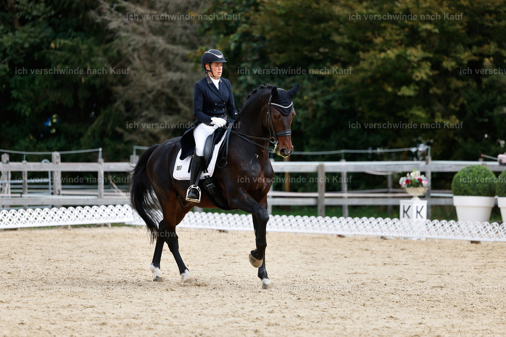 11-007-Dressur S___-StoibPH-1100 | working equitationturnier fotograf videograf stoibphotography marixx film working equitation deutschland reitsport turnierfotografie eventfotografie equestrian events