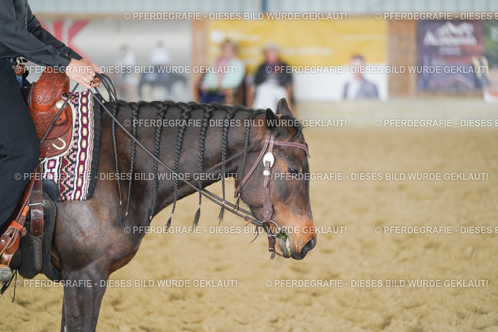 DSC04519 | Pferdegrafie