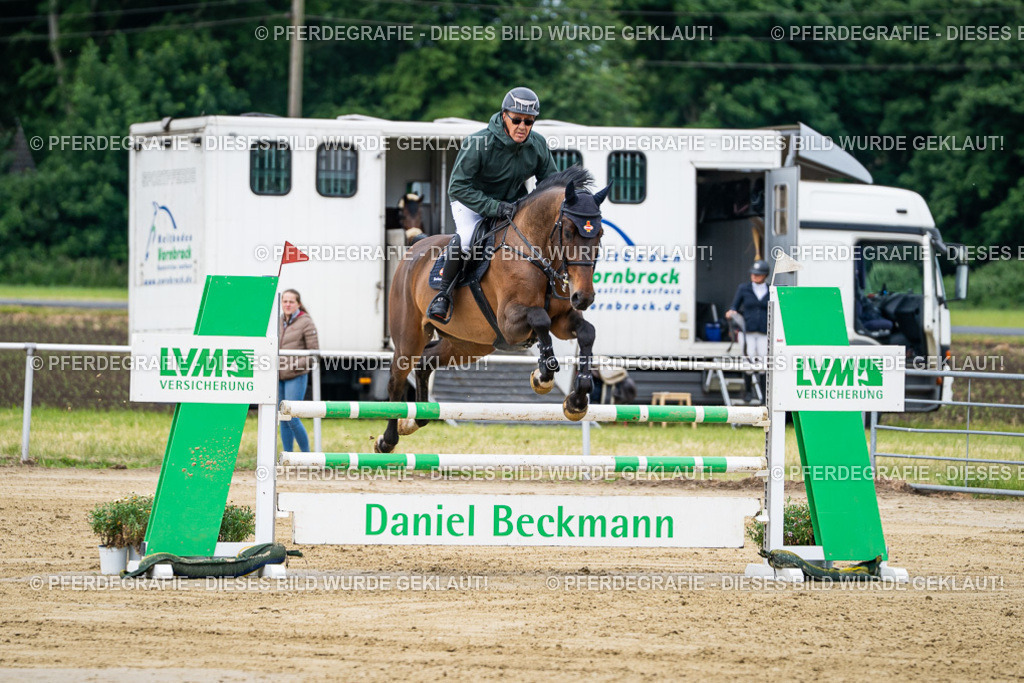 DSC05068 | Pferdegrafie