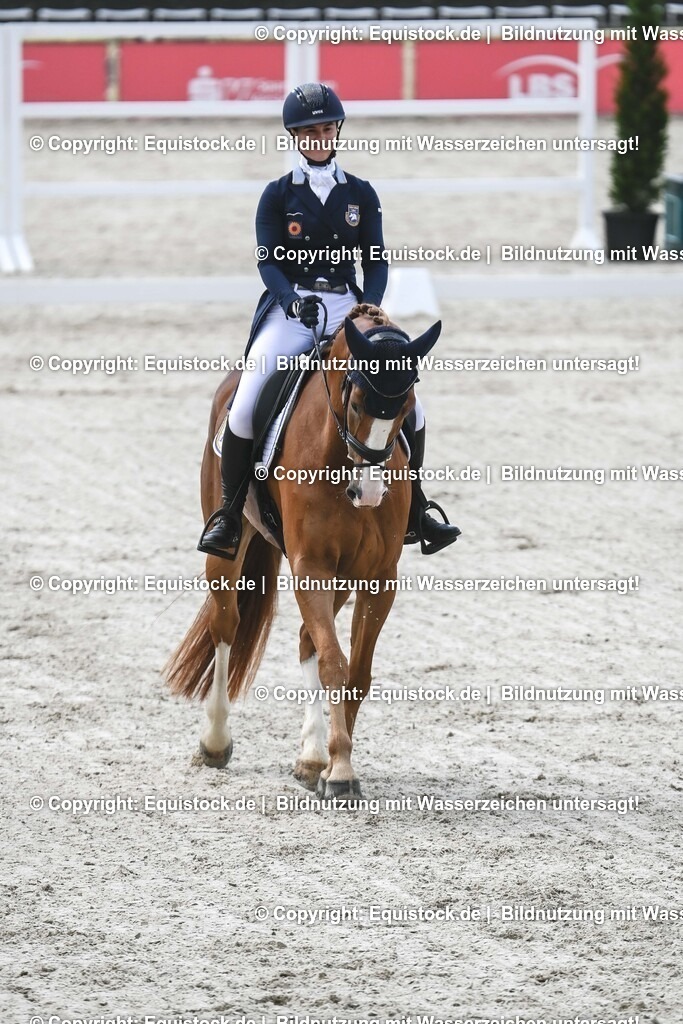 20250516_CCI2_Dressur_0241 | Foto: Thomas Hartig