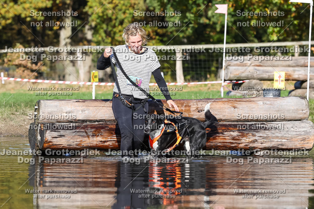 Dog Paparazzi - Strongdog 10-25-8974 | Dog Paparazzi Jeanette Grottendiek Fotografie & Videografie - Realisiert mit Pictrs.com