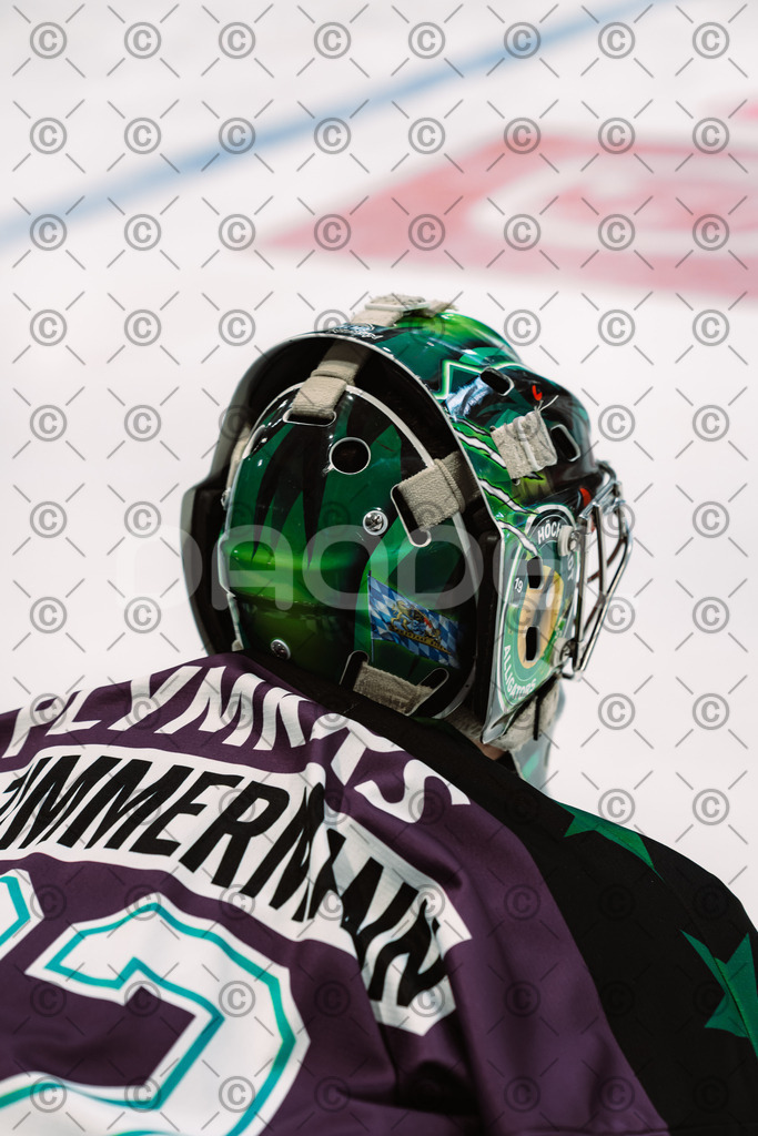 Alligators_vs_Bayreuth_10_2025-12 | Höchstadt Alligators Fotogalerie: Eishockey-Action aus Franken. Professionelle Spielfotos, Portraits & Stadionbilder zum Download. Jetzt entdecken! - Realisiert mit Pictrs.com