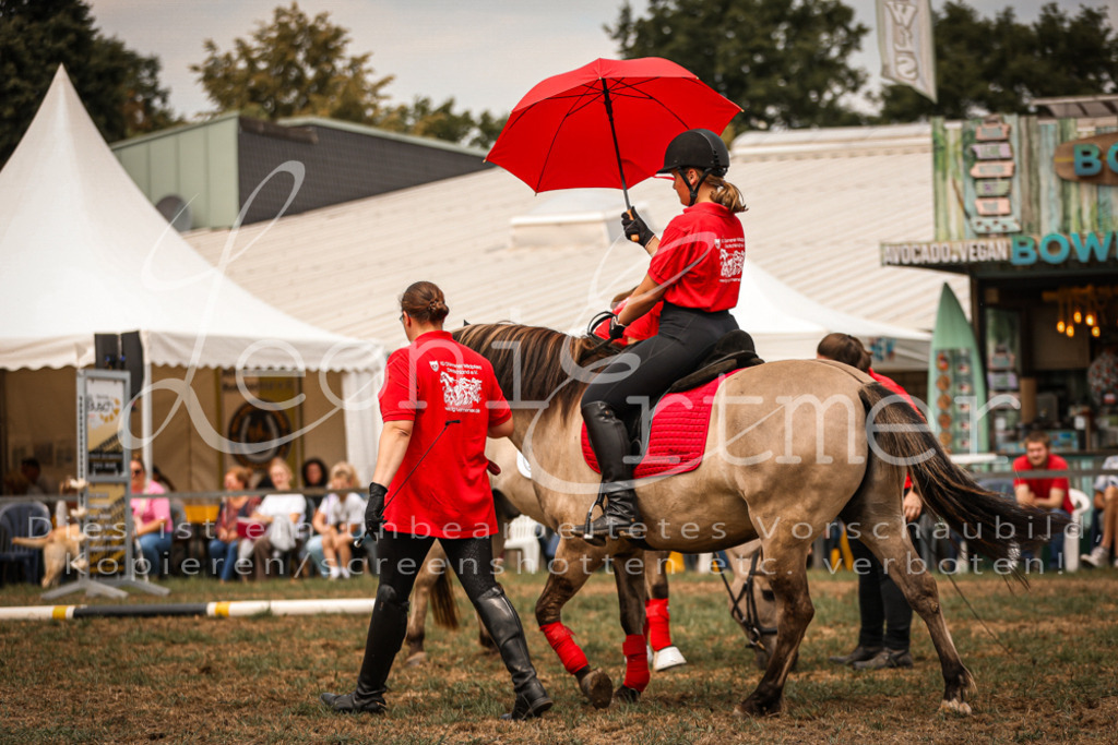 SoShow00129 | Leoni Ertmer Photography - Realisiert mit Pictrs.com