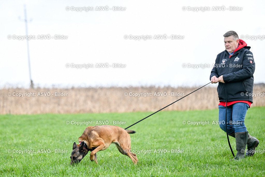ASVÖ_ Tracking Dog World Championship 2025_ 31.03.2025-68 | 31.03.2025, AUT, ASVÖ, Tracking Dog World Championship // FCI IGP Fährtenhundeweltmeisterschaft 2025©fodo.media / Harald Dostal - Realisiert mit Pictrs.com
