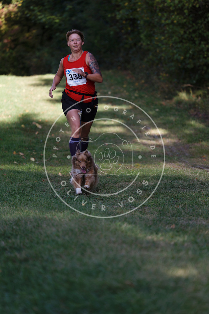 0L8A5240 | Hundefotografie, Tierfotograf, Pfotenfotografie, Fotoshooting Hund, Hunde Portrait, Hundesport, Hundeportraits, Heideshooting, Hunde, Sportfotograf, Hundefotograf, Turnierhundsport, THS,  - Realisiert mit Pictrs.com