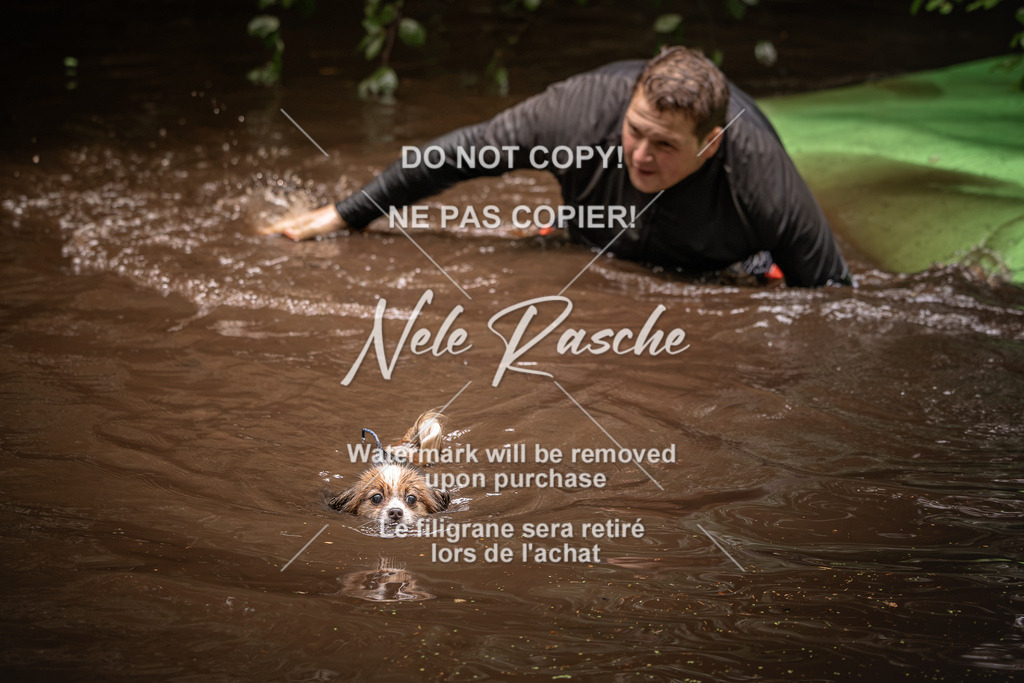 nelerasche_Wingst_Sa1330-1400_325 | nelerasche
