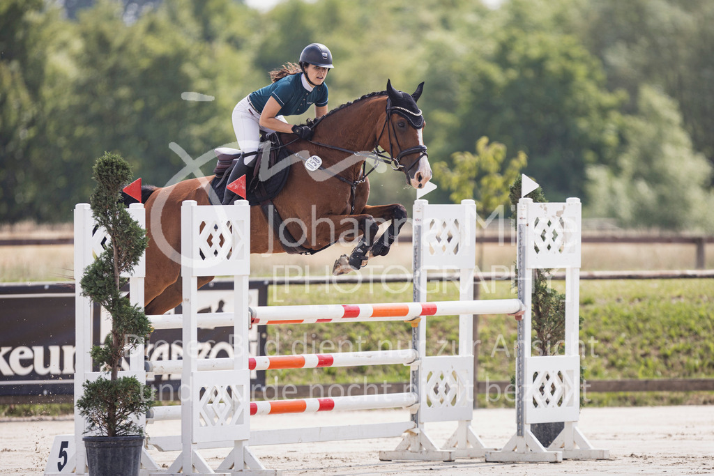 250629_PfSpTa_L-Spr-1-402 | Deine schönsten Turniermomente als professionelle Fotos! Entdecke hochwertige Pferdesport-Fotografie im Online-Shop. Jetzt Fotos finden & bestellen!