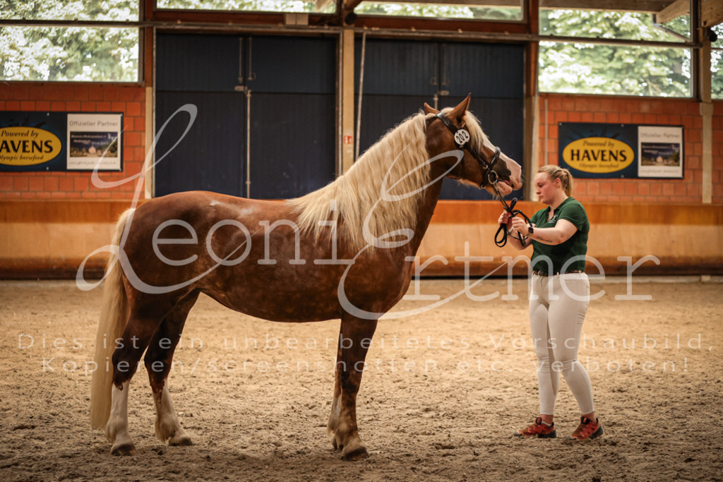 SaFL00447 | Leoni Ertmer Photography - Realisiert mit Pictrs.com