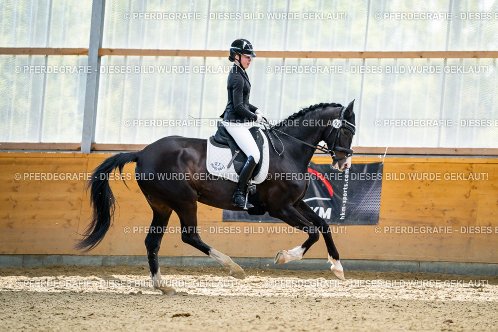 DSC05955 | Pferdegrafie