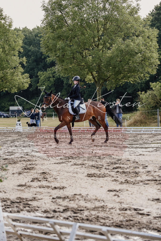 DSC_7983 | Pferde- und Turnierfotografie in Westsachsen. Pferdeportraits, Auftragszeichnungen und intuitive Kunst.