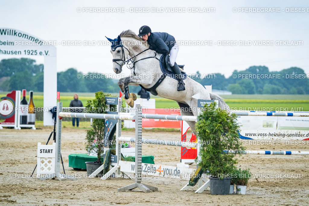 DSC00349 | Pferdegrafie