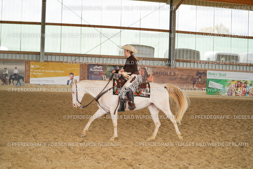 DSC02363 | Pferdegrafie